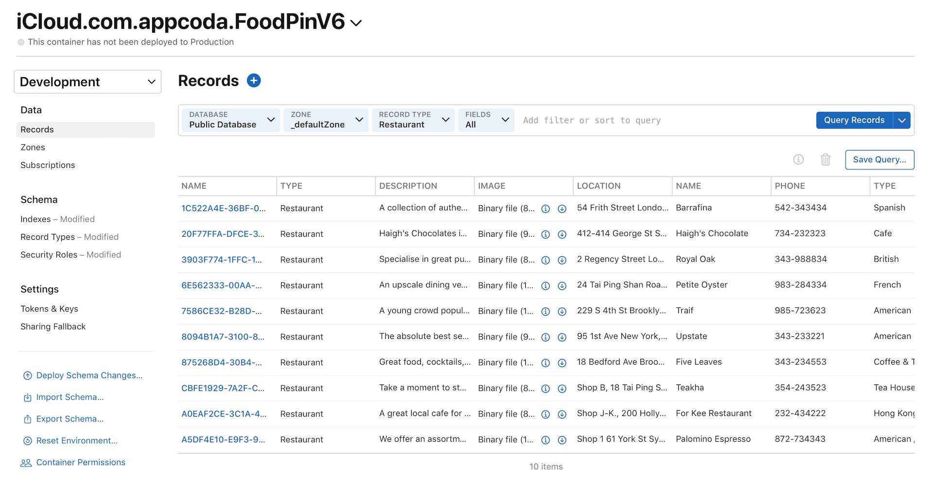 Figure 24-13. Querying records in the public database