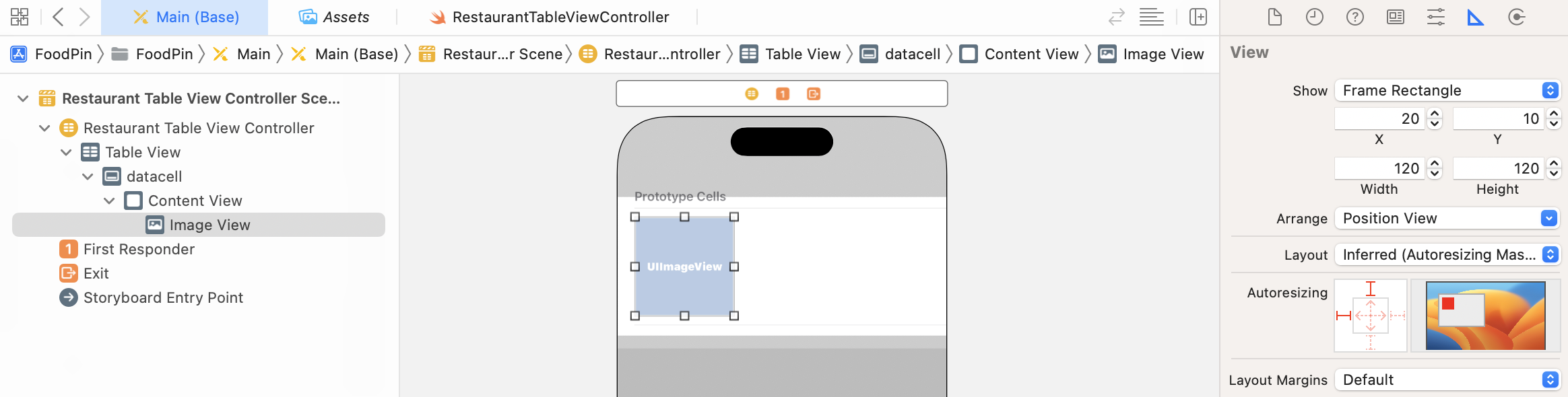 Figure 9-12. Adding an image view to the prototype cell