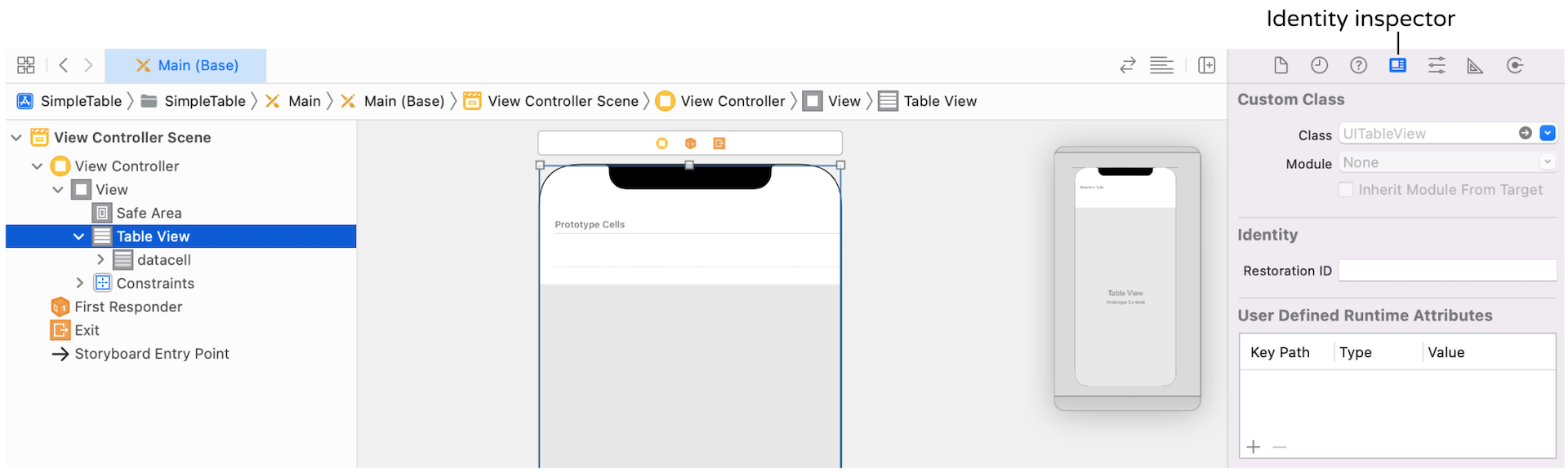 Figure 8-8. You can reveal the actual class in the Identity inspector