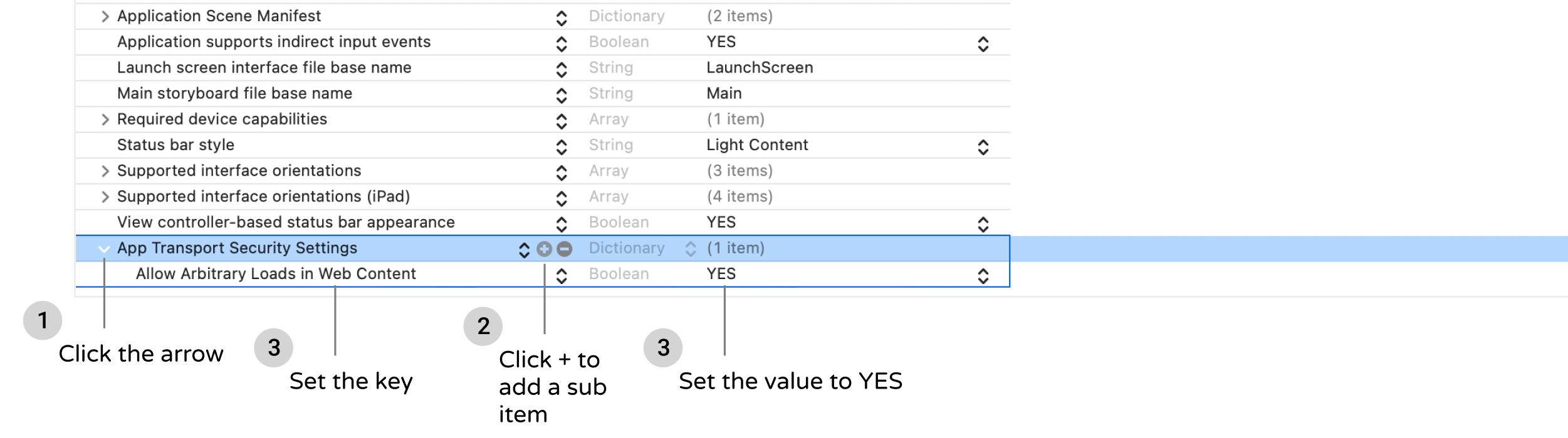 Figure 23-11. Adding the Allow Arbitrary Loads in Web Content key